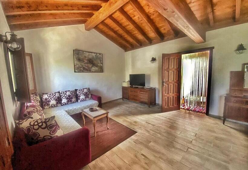 Casa En La Ladera   Real Vibe   Beach & Mountain