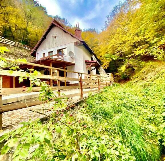 تختخواب و صبحانه Căsuța Din Pădure