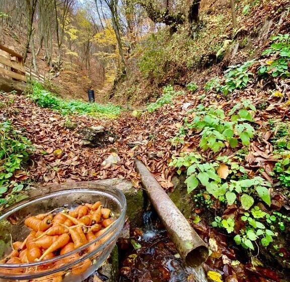 تختخواب و صبحانه Căsuța Din Pădure