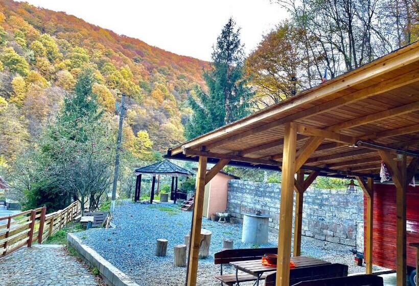 تختخواب و صبحانه Căsuța Din Pădure