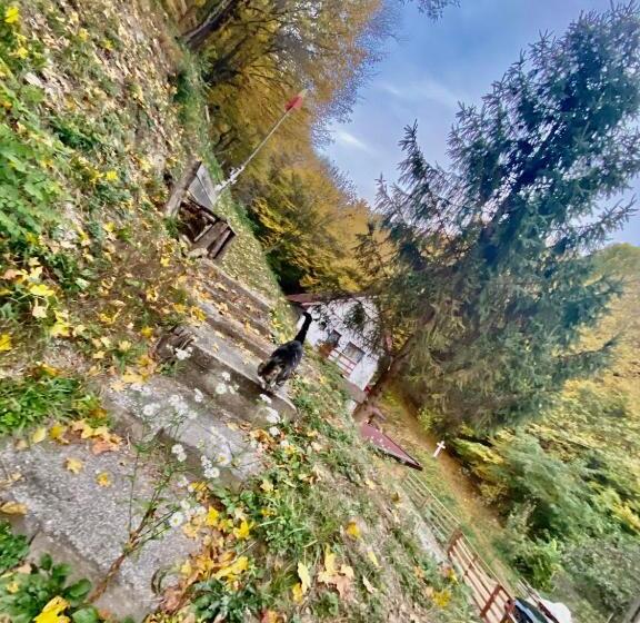 تختخواب و صبحانه Căsuța Din Pădure