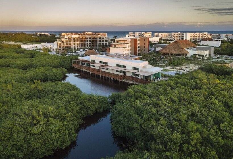 هتل Ventus Ha At Marina El Cid Spa & Beach Resort   All Inclusive