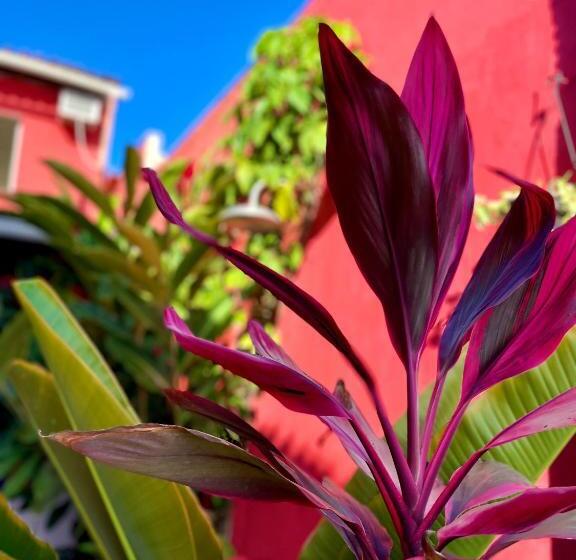 هتل Pousada Kawaii