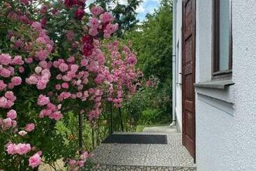 پانسیون Casa Bucataria Fonix