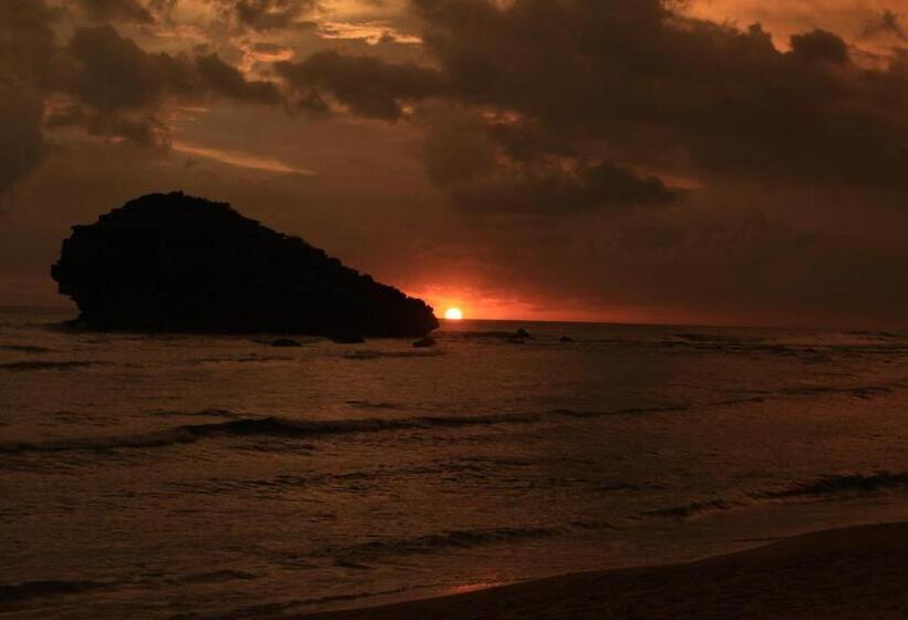 بنسيون Harry S Ocean House Watukarung Homestay