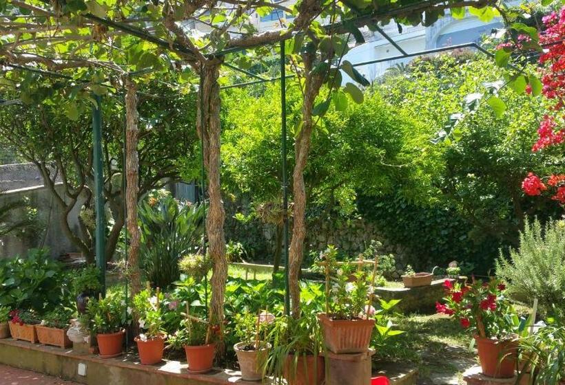 Villa Dei Fiori B&b