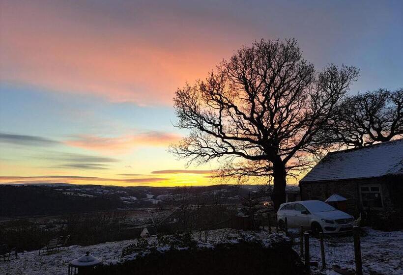 Idlewild Animal Sanctuary Farmhouse Stay Charity
