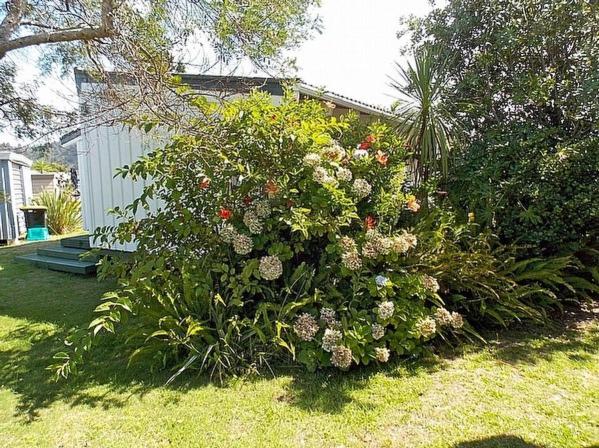 Hibiscus Cottage Whangamata Bach
