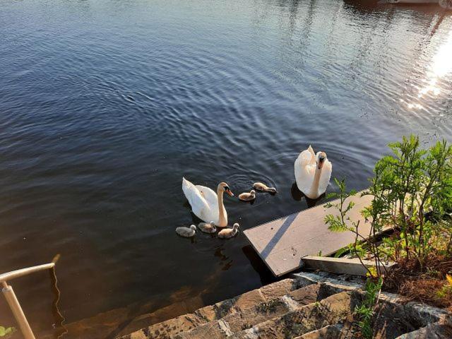 Strandhof Möhnesee