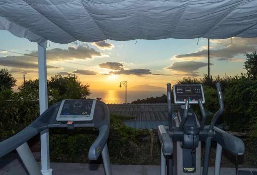 Villa Aurora Pool & Fitness