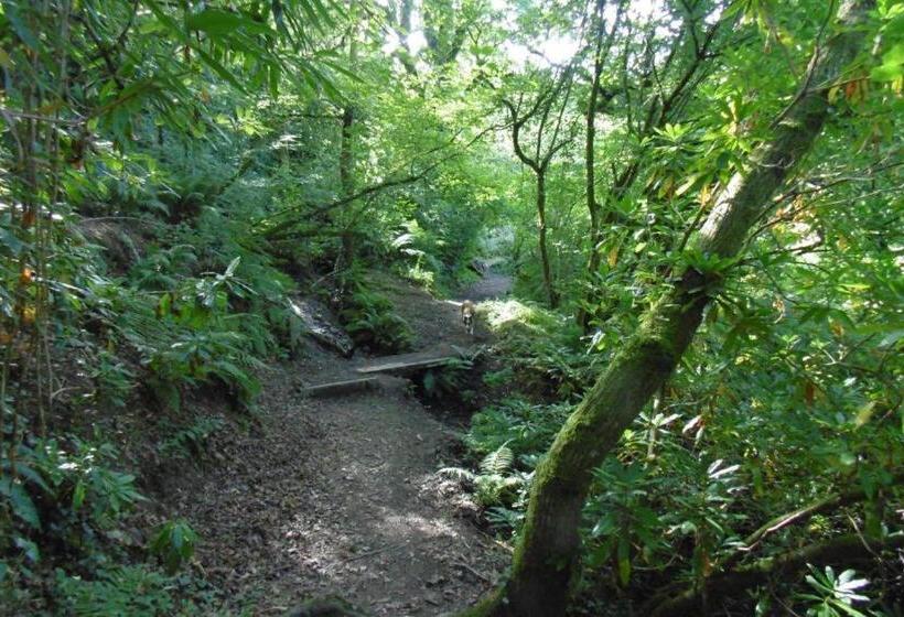 Bucklands At Bideford Bay