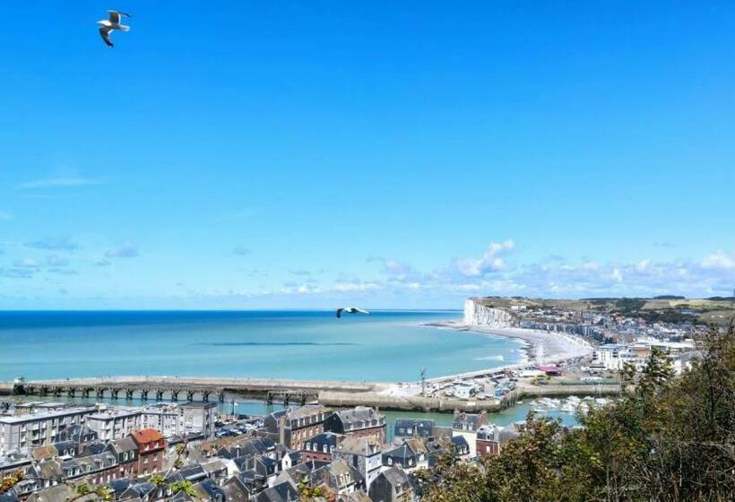 Le Paradis Des Fleurs