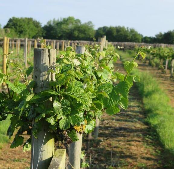 Vineyard Cottage, Hartest   2 Bed With Parking