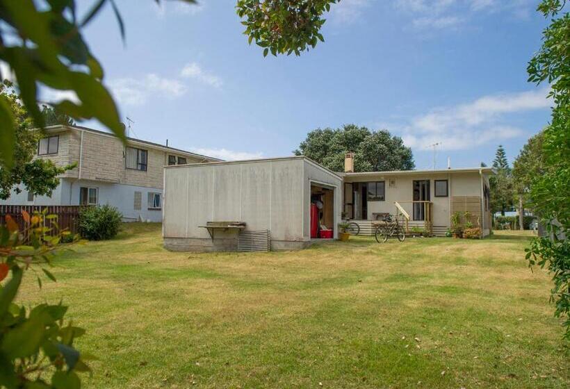 Vintage Pohutukawa   Whangamata Bach
