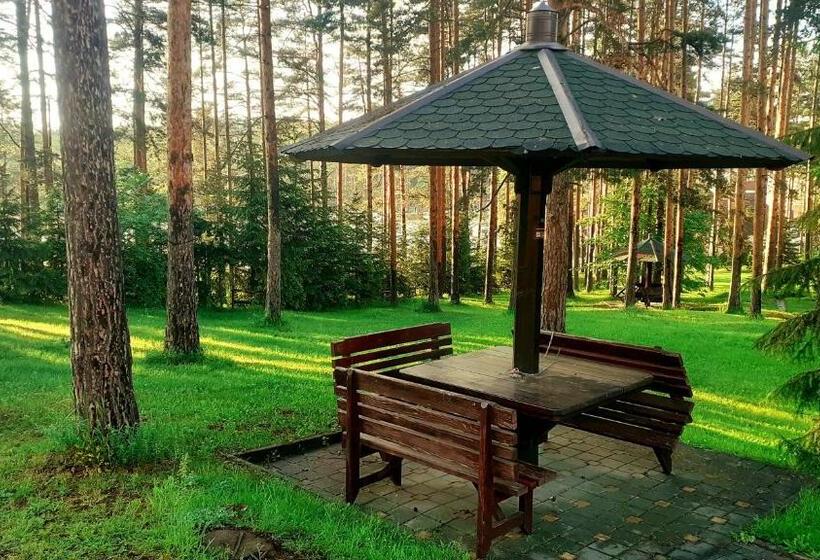 Kraljevi Konaci   Vila Zelena Dolina   Zlatibor