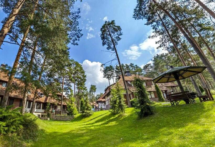 Kraljevi Konaci   Vila Zelena Dolina   Zlatibor