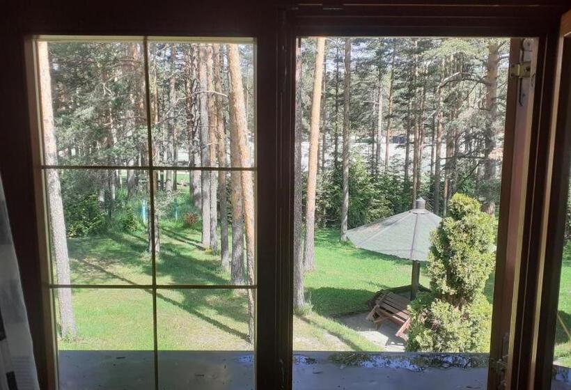 Kraljevi Konaci   Vila Zelena Dolina   Zlatibor