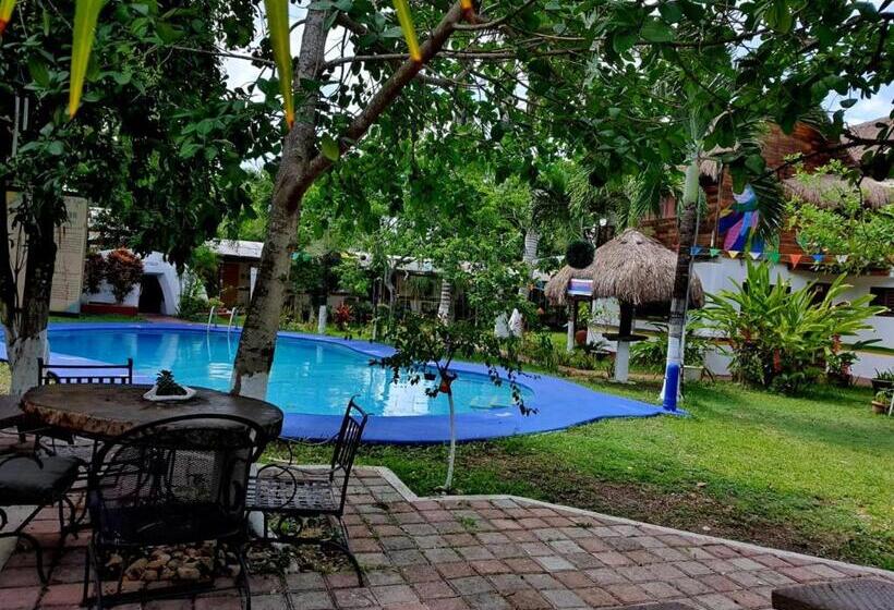 هتل Cabañas Colibrí
