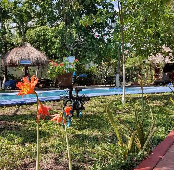 هتل Cabañas Colibrí