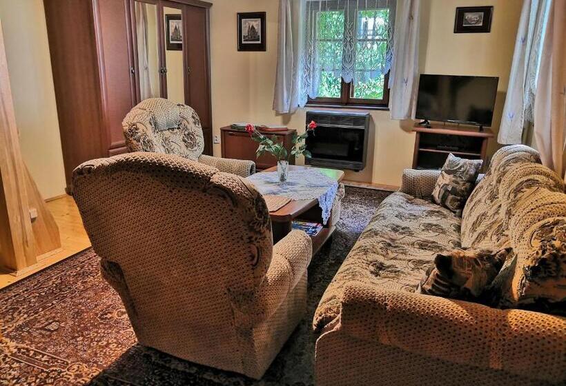 پانسیون Apartmány V Centru U Moravců