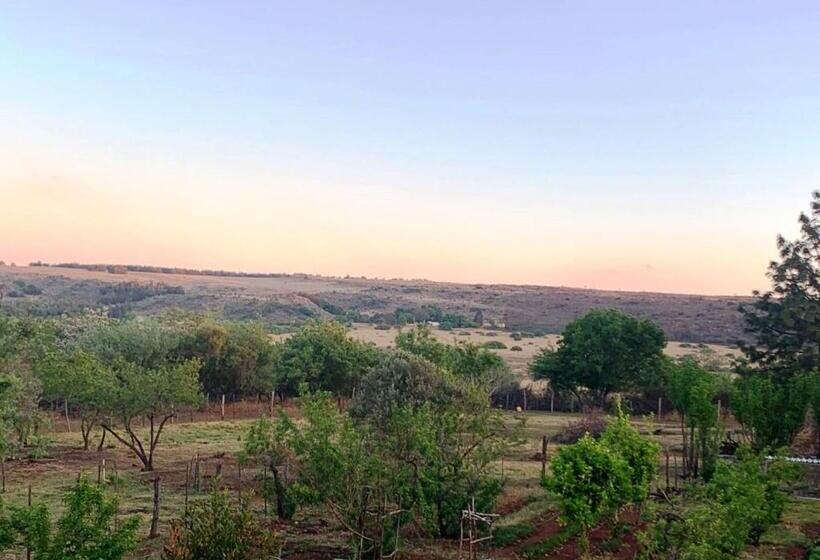 펜션 Little Forest Farm