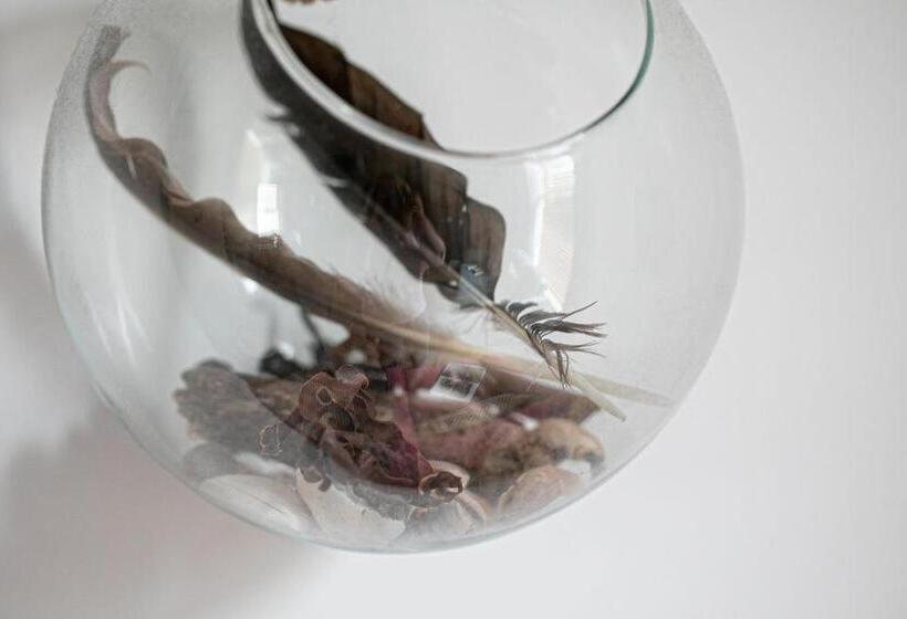 The Terrace   Light, Bright Characterful Coastal Home With Parking Near Beaches