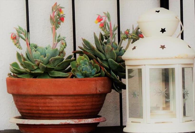 A Casa Di Nonna B&b