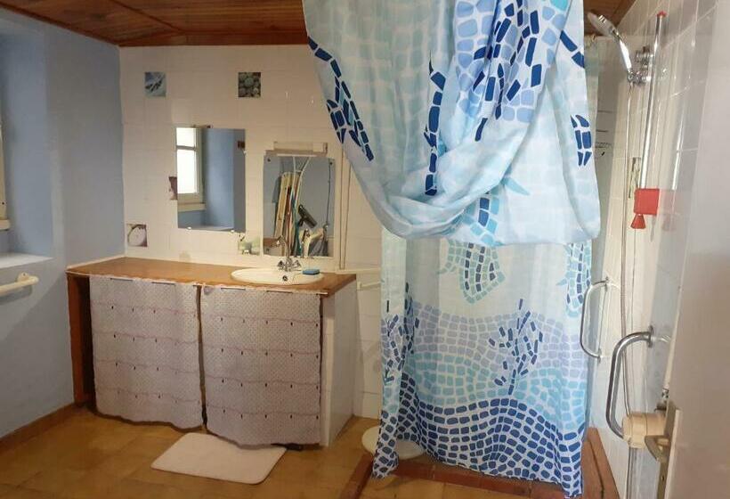 Les Gîtes Du Héron Cendré Mimosas Et Amandiers