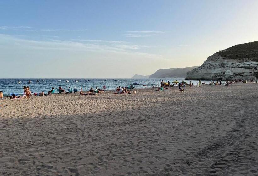 Los Pinos Del Mar   ático Con Solárium Privado