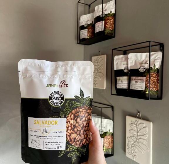 פנסיון Penzion U Přehrady