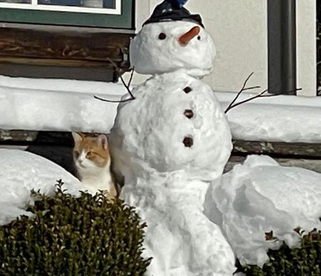 Die Kalsbergerin Ferienwohnung Für Genießer