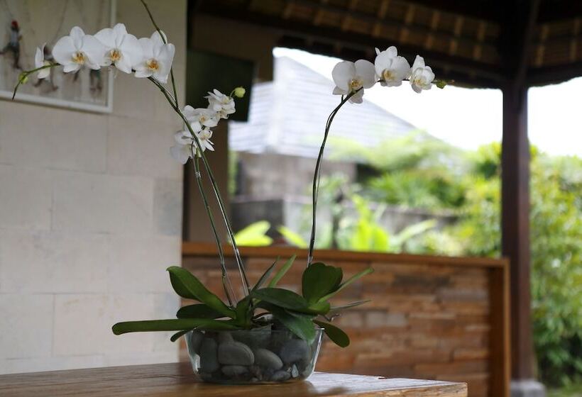 Fotos del hotel Villa Kayu Lama:  26