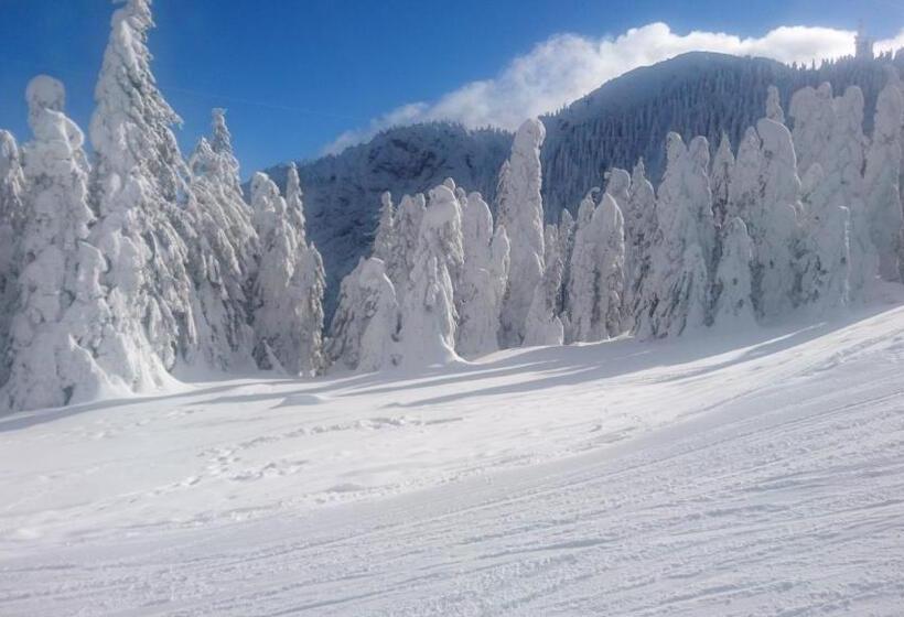 هتل Apartament 2706 Alpin Resort, Etaj 7, Poiana Brașov