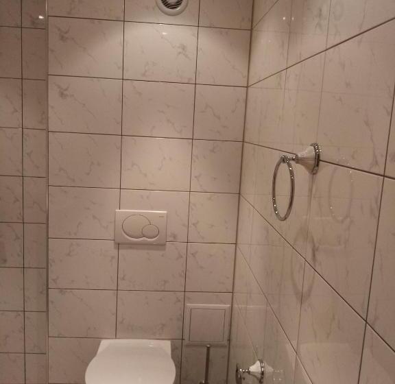 هاستل Weißer Schwan белият лебед