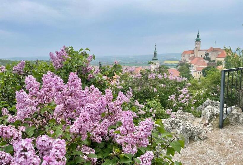 Dream Apt Mikulov