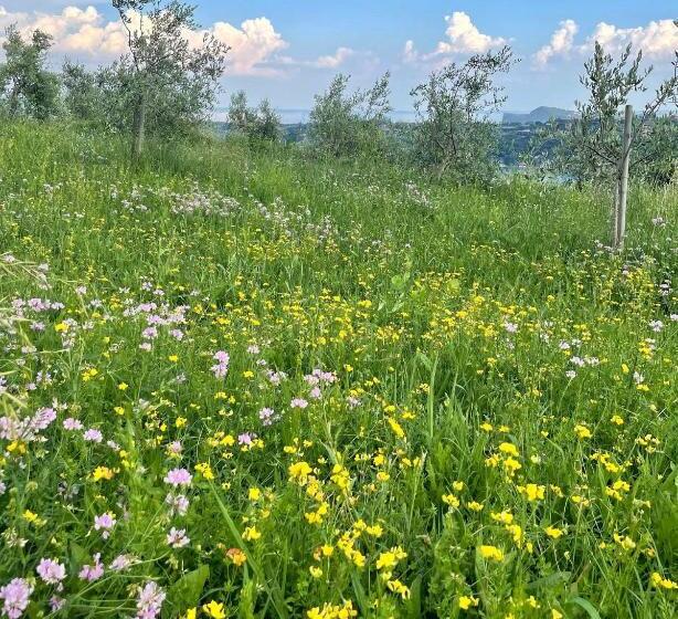 هتل Agriturismo Valsiniga