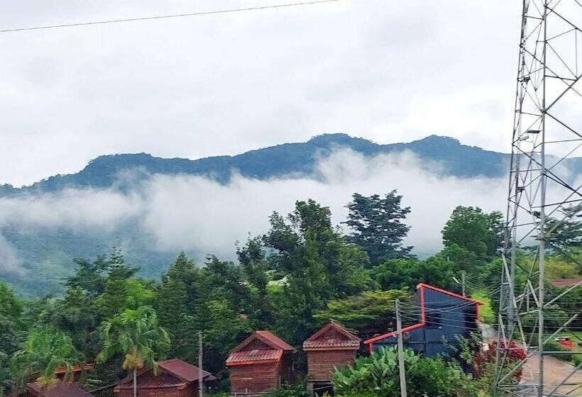 پانسیون ดิน ดาว หนาว หมอก