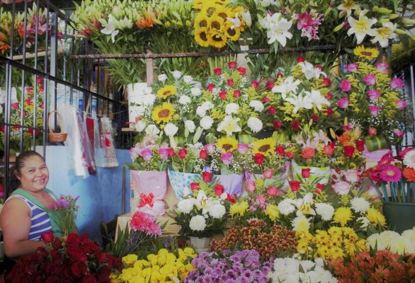 پانسیون Casa Santaella