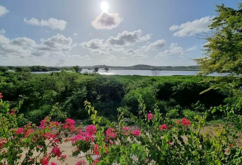 بنسيون Solar Teixeira Flats