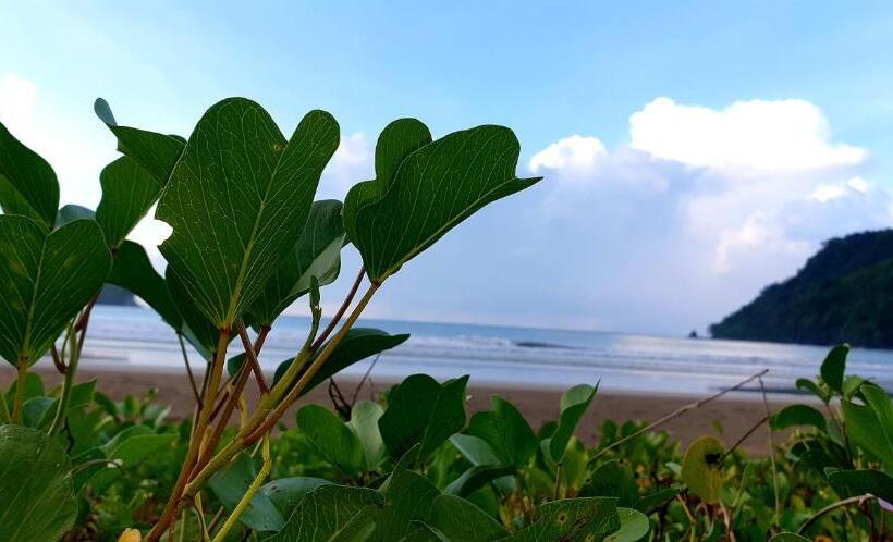 Общежитие Zhaya S Beach & Cottages