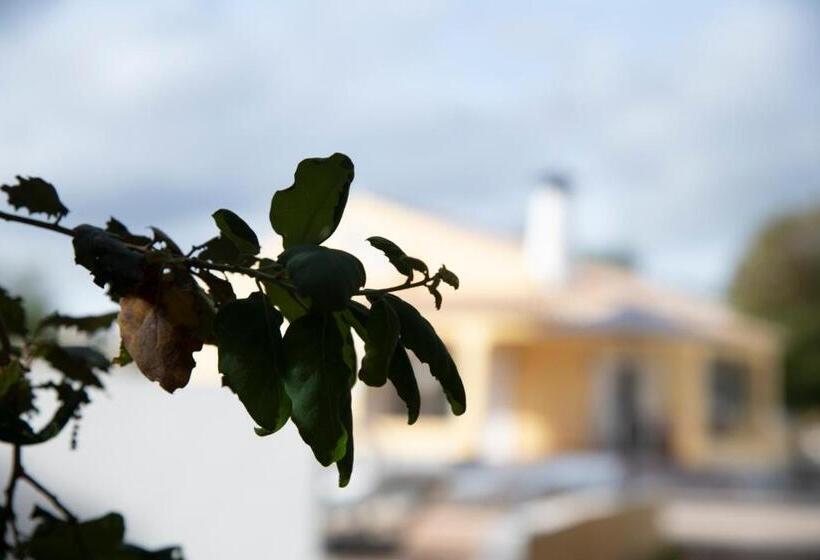 Casa Portus   Turismo Rural