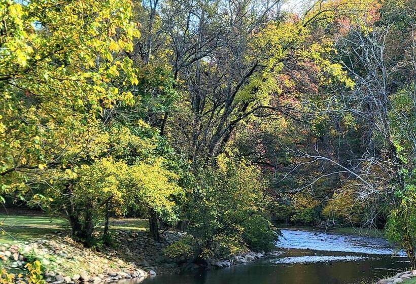 Hanky Panky 1 Bedroom On The River Pet Friendly With Fee Free Activity Tickets!