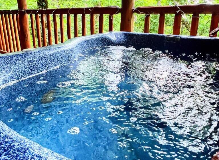 Mountain Joy  Private Treehouse Style Cabin That Sleeps 4 Free Tickets
