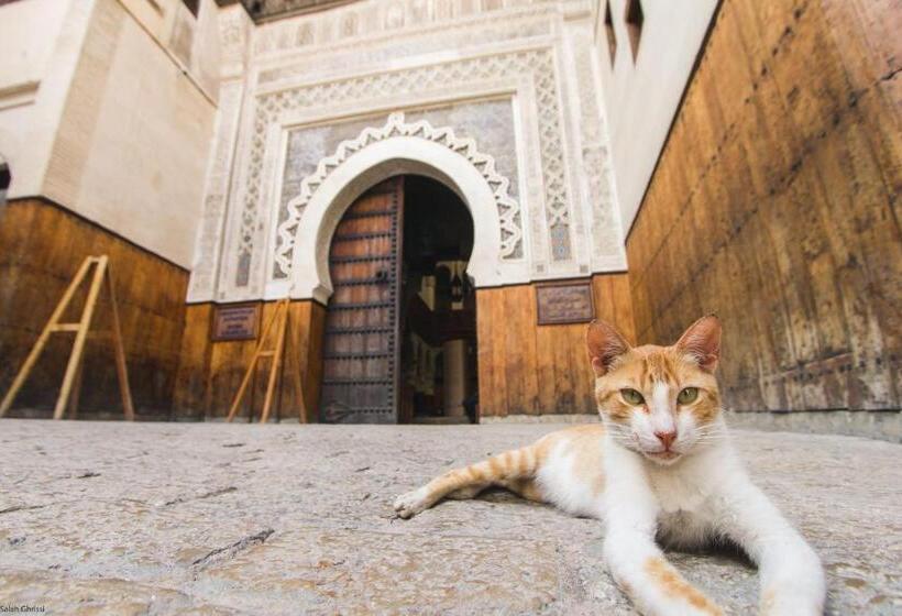 Riad Shama Fes