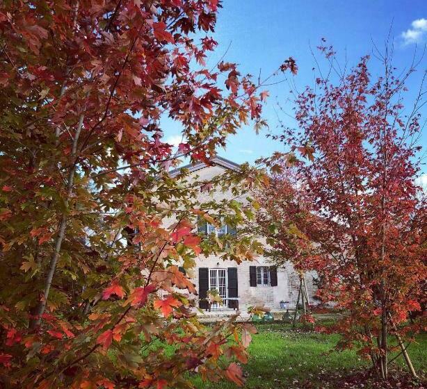 B&b Podere Merlo
