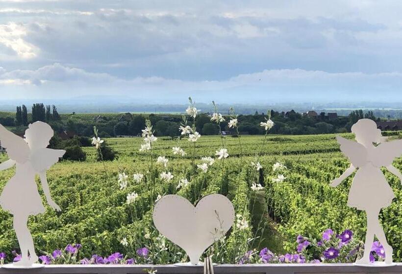 پانسیون Gite Riquewihr C Est Beau La Vie Alsace