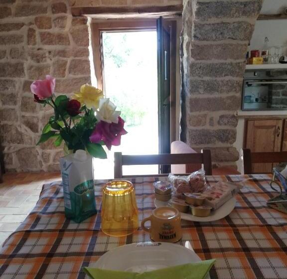 بنسيون Limbara Dreaming