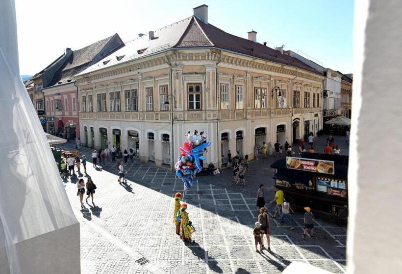 پانسیون Top Royal Central Brasov