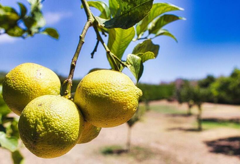 تختخواب و صبحانه Agriturismo Karrares