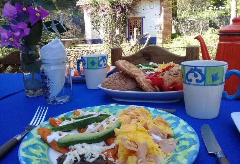 بنسيون Del Rio